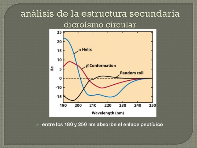 dicroismo circular proteinas